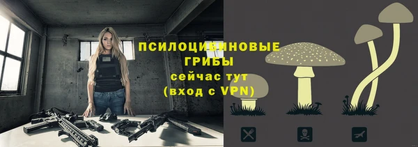 скорость Семилуки