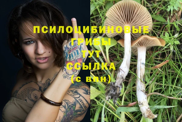 меф Абдулино