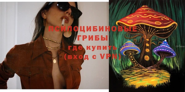 прущая мука Абаза