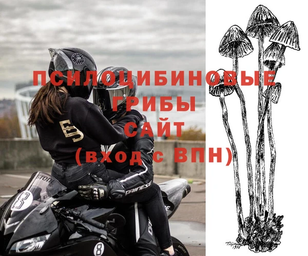 прущая мука Абаза