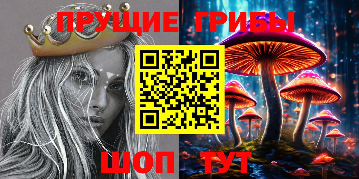 Галлюциногенные грибы Cubensis Касимов